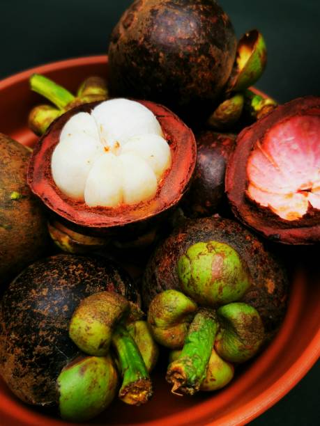 istock fresh mangosteen in a bowl on black background 1430990113