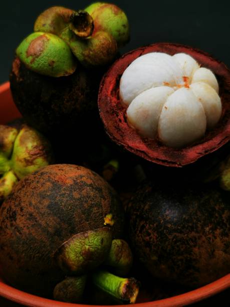 istock fresh mangosteen in a bowl on black background 1430990343