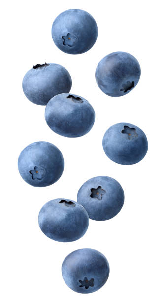 istock Collection of various falling fresh ripe blueberries isolated on white background 1430995756