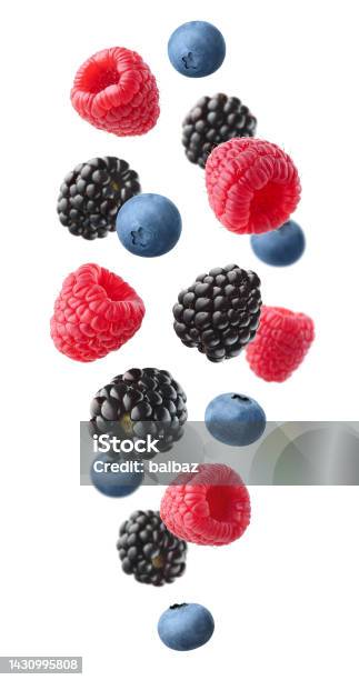 Collection Of Various Falling Fresh Ripe Wild Berries Isolated On White Background Raspberry Blackberry And Blueberry Stock Photo - Download Image Now
