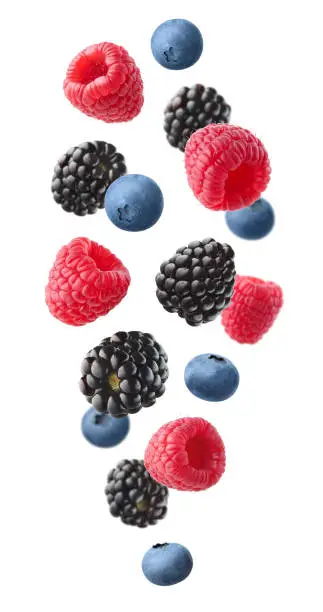 Collection of various falling fresh ripe wild berries isolated on white background. Raspberry, blackberry and blueberry. Vertical composition