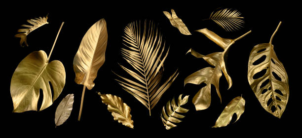 istock Tropical leaves gold and black, can be used as background(Monstera,palm,coconut)fernclipping path 1430996628