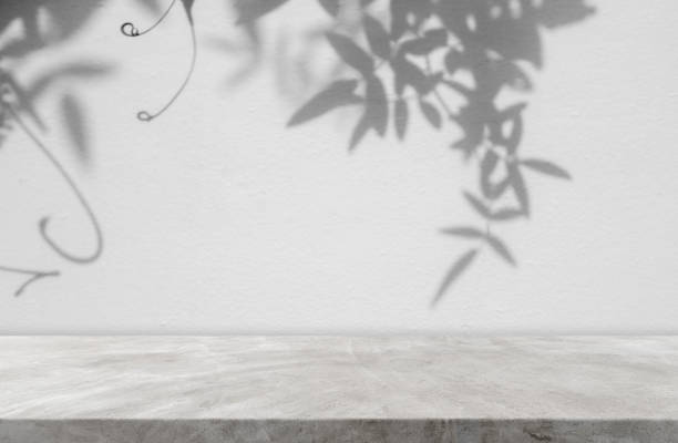 istock Shadows leaves overlay on backgrounds 1430997102