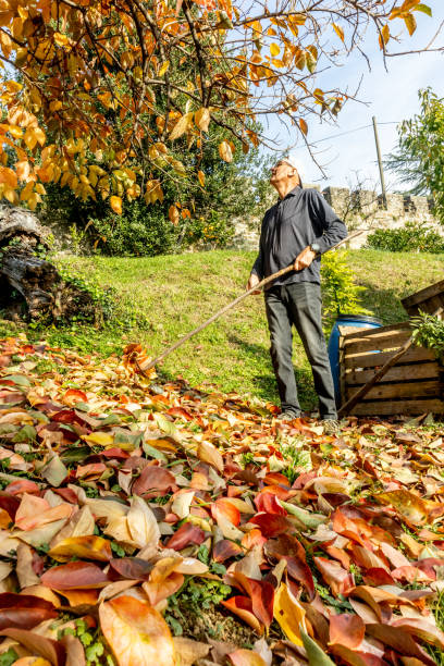istock Man Raking The Yard  in Autumn 1430997234