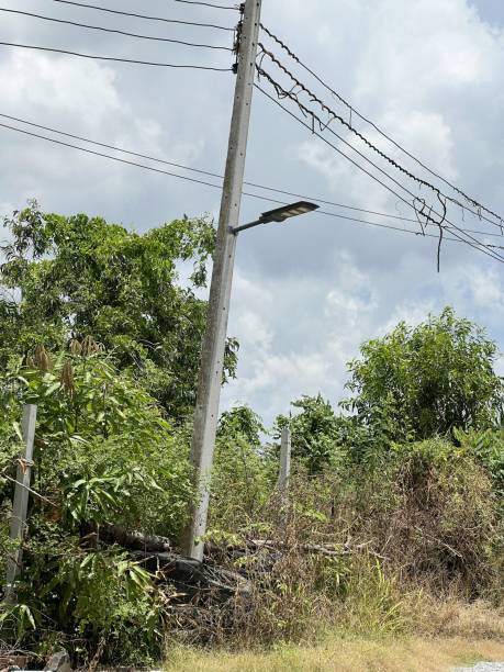 istock lamp pole in country Thailand 1430997624