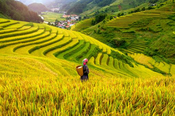 Sapa, Vietnam