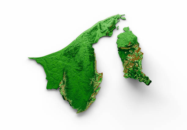 istock Brunei Topographic Map 3d realistic map Color 3d illustration 1431002707