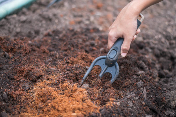 istock hand holding shoveling fork for loosening soil 1431004384