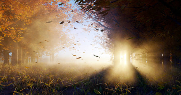 istock 3d rendering. Illustration of autumn forest in sunlight and mist. 1431004903