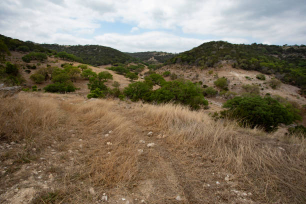 istock Small driving trail in remote Texas Hill Country 1431005152