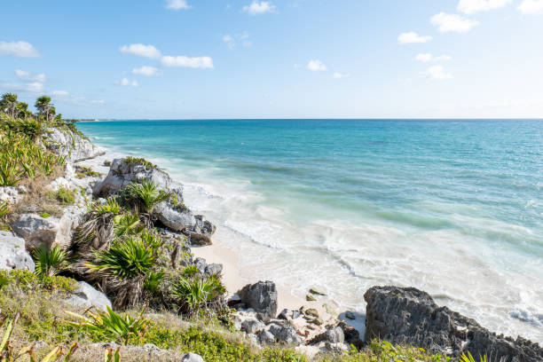 Green lush foliage and blue sea beach