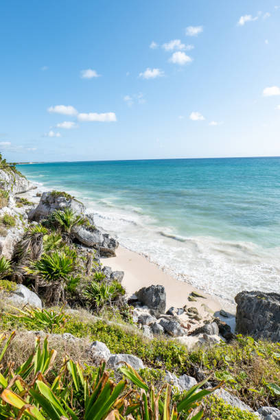 istock Beautiful tropical beach in Tulum, Mexico 1431014983