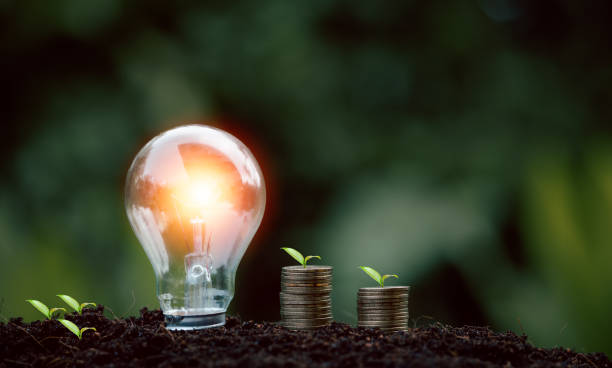 istock alternative energy, Renewable Energy, saving energy, electricity light lamp from solar and finance, finance banking growth, energy stock investment, tree growing up on coin and lightbulb on soil 1431015425