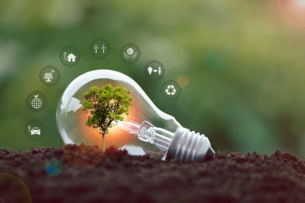 istock alternative energy, Renewable Energy, saving energy, electricity light lamp from solar and finance, finance banking growth, energy stock investment, tree growing up on coin and lightbulb on soil 1431015464