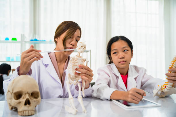 Asian female teacher teaching a science class is teaching human skeletons to elementary school students and students study hard and take notes in the school lab.