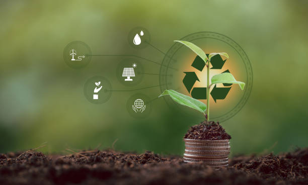istock alternative energy, Renewable Energy, saving energy, electricity light lamp from solar and finance, finance banking growth, energy stock investment, tree growing up on coin and lightbulb on soil 1431015604