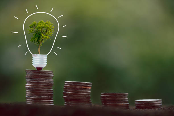 istock alternative energy, Renewable Energy, saving energy, electricity light lamp from solar and finance, finance banking growth, energy stock investment, tree growing up on coin and lightbulb on soil 1431015617
