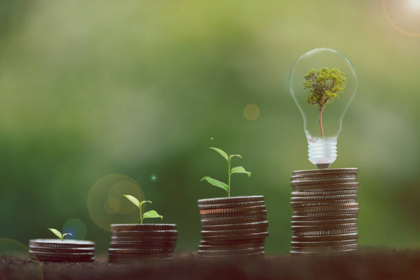 istock alternative energy, Renewable Energy, saving energy, electricity light lamp from solar and finance, finance banking growth, energy stock investment, tree growing up on coin and lightbulb on soil 1431015667