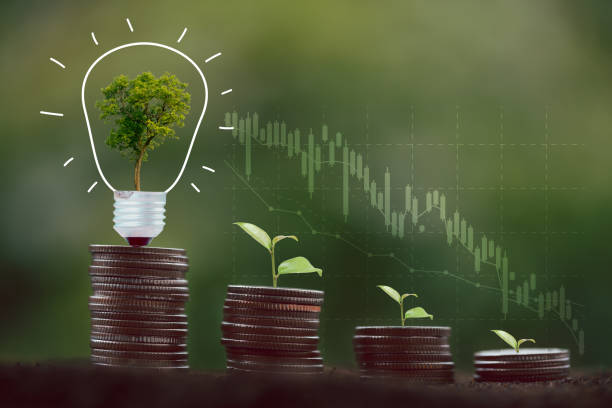 istock alternative energy, Renewable Energy, saving energy, electricity light lamp from solar and finance, finance banking growth, energy stock investment, tree growing up on coin and lightbulb on soil 1431015702