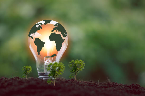 istock alternative energy, Renewable Energy, saving energy, electricity light lamp from solar and finance, finance banking growth, energy stock investment, tree growing up on coin and lightbulb on soil 1431015730
