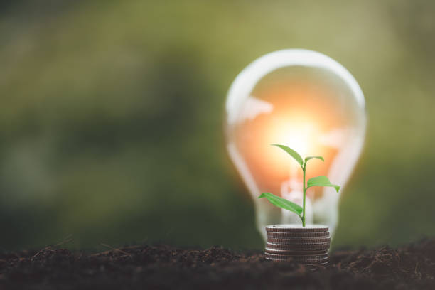 istock alternative energy, Renewable Energy, saving energy, electricity light lamp from solar and finance, finance banking growth, energy stock investment, tree growing up on coin and lightbulb on soil 1431015780
