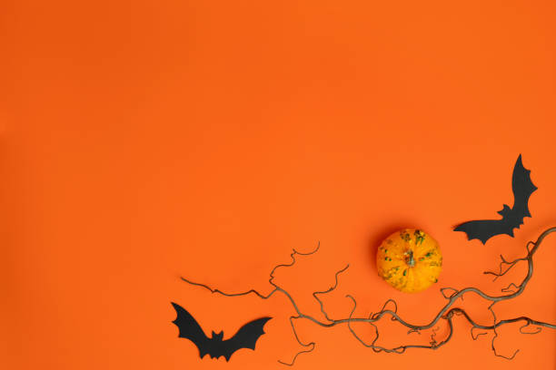 Small decorative pumpkin, black paper bats and scary bare branches on bright orange background. Bright Halloween sale mockup. Fall holiday composition. Festive autumn flat lay. Top view, copy space. pequeña calabaza decorativa, murciélagos de papel negro y aterradoras ramas desnudas sobre fondo naranja brillante. brillante maqueta de venta de halloween. composición de vacaciones de otoño. festivo piso de otoño. vista superior, espacio de copia