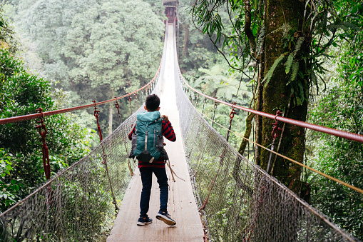 A wooden bridge connecting the states of Rondonia and Mato Grosso over the Cabixi river, surrounded by dense Amazon rainforest, near the small town of Cabixi, southern Rondonia state, Brazil