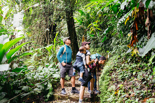asian family walking and hiking together in the forest