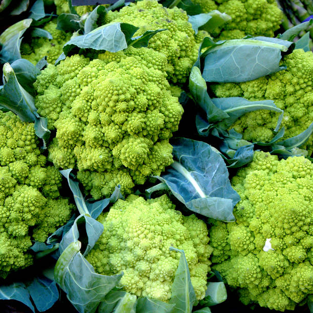 brócolis romanesco à venda - romanesco broccoli - fotografias e filmes do acervo