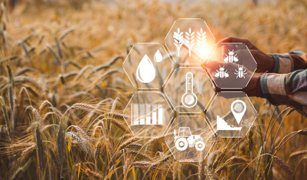 istock Smart farming concept. Farmer with technology digital tablet on background of wheat field. Professional farmers use internet of things (IOT) computers system to manage farms. agriculture modern idea. 1431024640