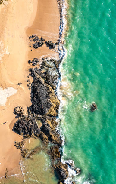 istock Haad Bang Sak Beach in Khao Lak, Thailand 1431024728