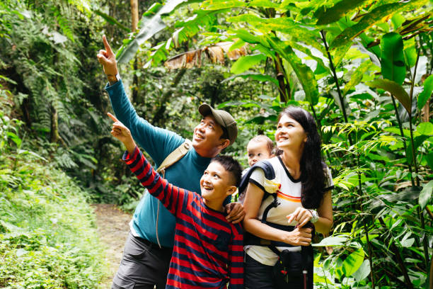 istock asian family walking together in the forest 1431024748