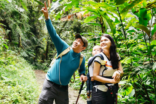 istock asian family walking together in the forest 1431024749