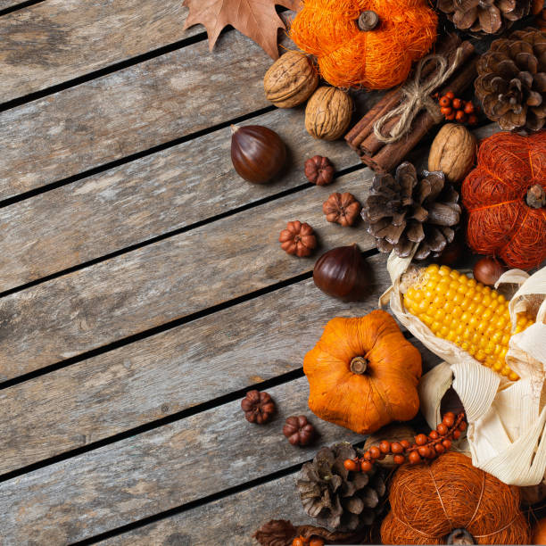 istock Autumn fall thanksgiving day composition with decorative pumpkins 1431030537