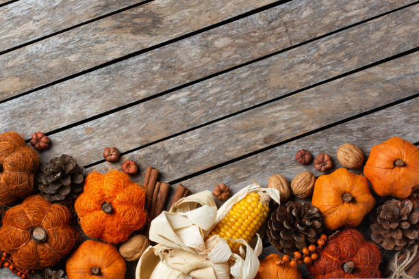 Autumn fall thanksgiving day composition with decorative pumpkins stock photo