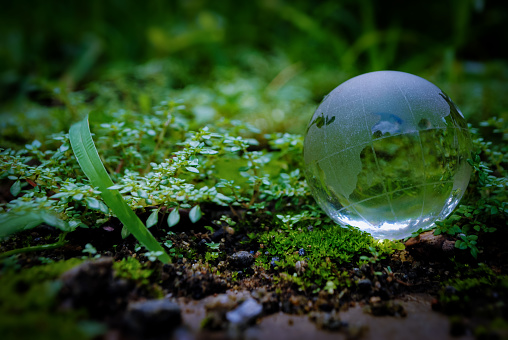 Close up of a glass globe in the grass