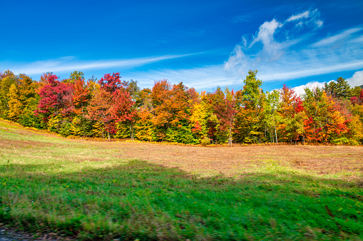 Usa. Fall Foliage across the rolling hills of Vermont. Peak fall color on a beautiful sunny day in New England.