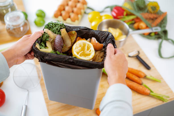 istock Hands holding garbage bin  full of vegetables peels 1431038878