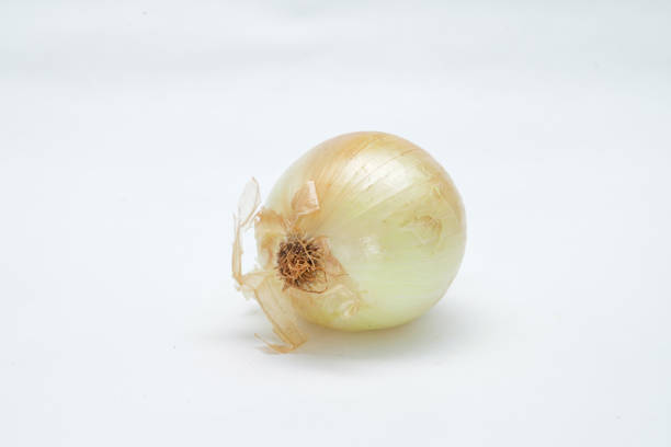 istock An onion (Allium cepa) in natura, on a white background for clipping 1431039128