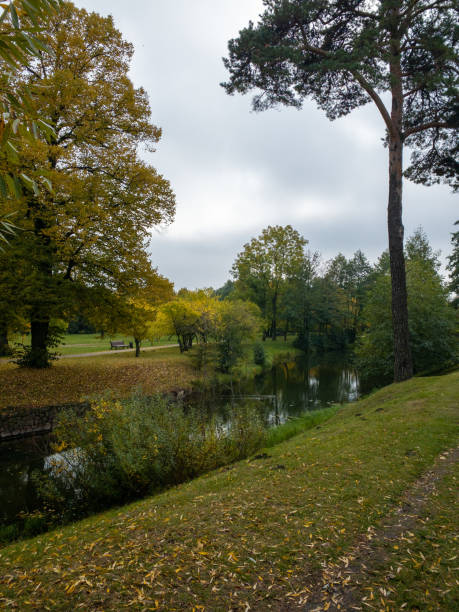 istock autumn nature, trees in warm colors 1431039335