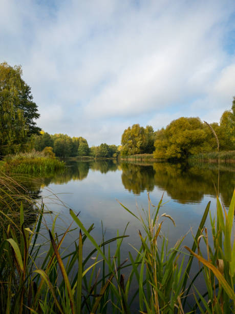 istock autumn nature, trees in warm colors 1431039440