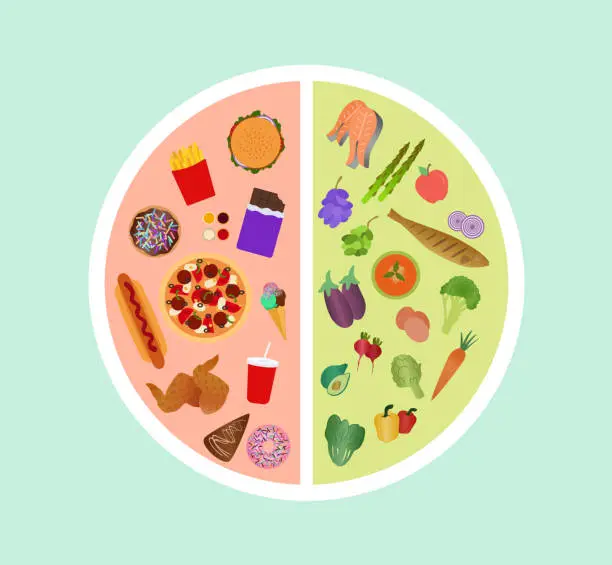 Vector illustration of High Angle View Of Plate With Healthy And Unhealthy Food. Healthy And Unhealthy Food Comparison