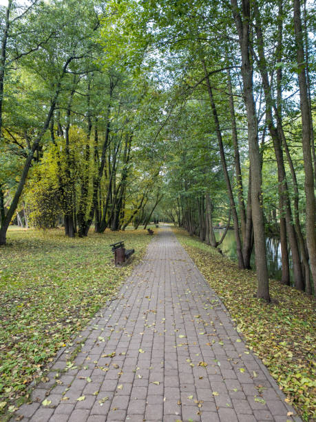parque de otoño naturaleza idílica - 7655 fotografías e imágenes de stock