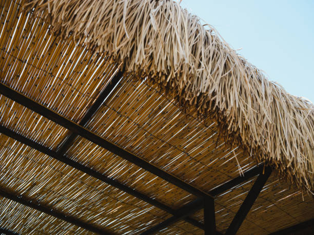 istock an old wicker roof and sky 1431041335