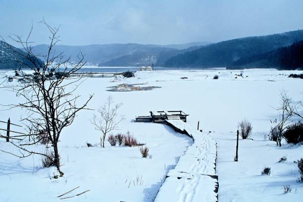 jezero plateau v zasněženém dni - deep snow fotky - stock snímky, obrázky a fotky