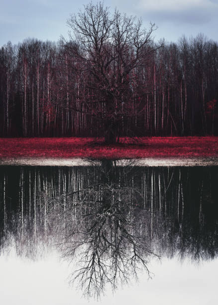 istock Stranger forest. Fairy woods. Mystical atmosphere. Paranormal another world. Cinematic Processing. Dark scary park with red leaves. Background wallpaper. 1431049191