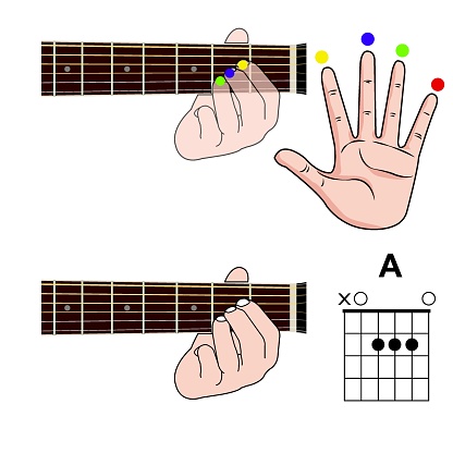 Guitar Chord Basic and Hand Position for Guitar Chord vector. Freestyle Chord.