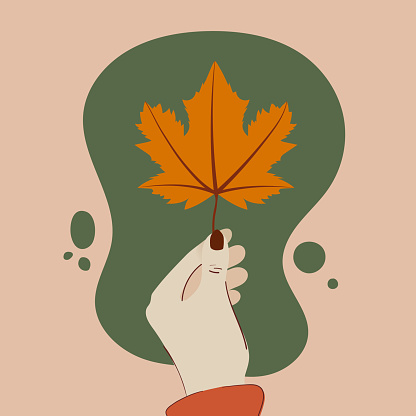 Human hand holding a maple leaf. Autumn vibes. Vector illustration, flat design