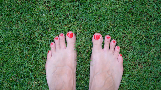 istock Barefoot female feet with red nails stand on green grass 1431055572