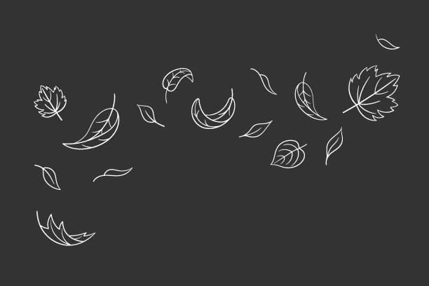 Leaves fall set in doodle style, vector illustration. Wave cold air during windy weather. Maple leaf outline for print and design. Isolated black element on chalkboard background. Autumn symbol Leaves fall set in doodle style, vector illustration. Wave cold air during windy weather. Maple leaf outline for print and design. Isolated black element on chalkboard background. Autumn symbol nature cartoon of the saying goodbye stock illustrations